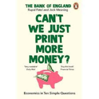 Image of CAN'T WE JUST PRINT MORE MONEY ?
